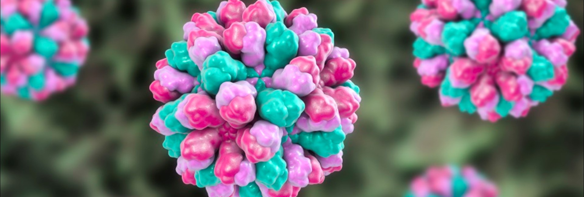 food-related viruses food-related viruses
