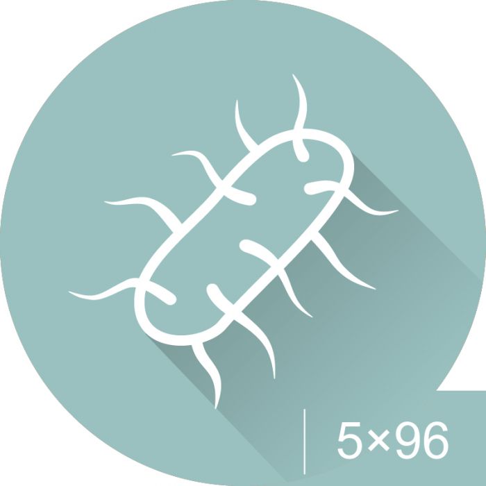 BACSpec Salmonella ELISA kit 5x96 well plate